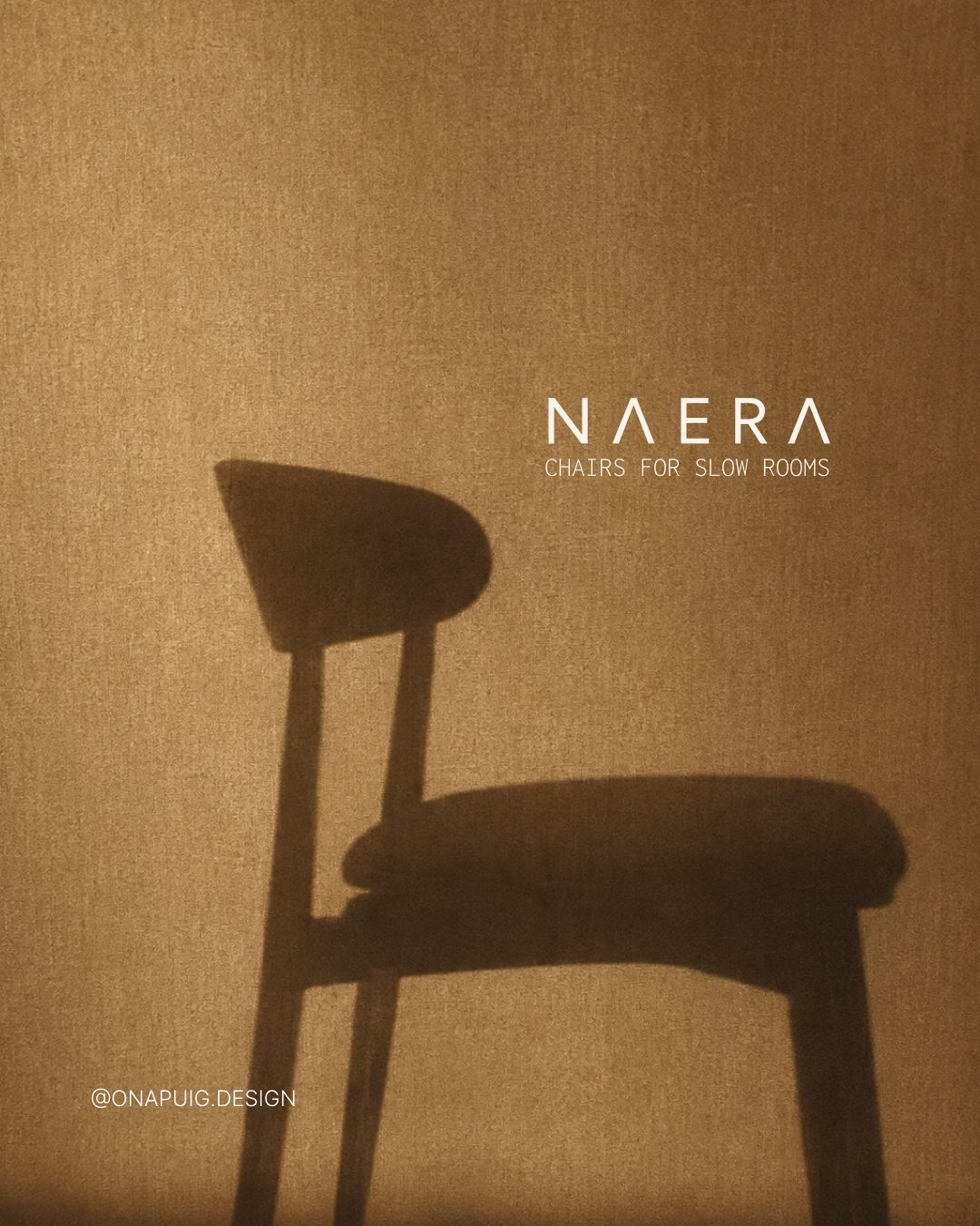 NAERA — logotype